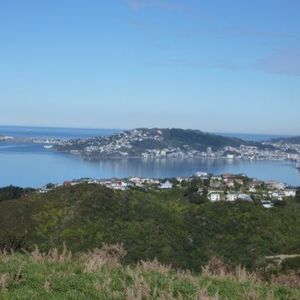 84 Cormier Pike Apt. 054 - Balgowlah heights
