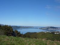photo property thumbnail