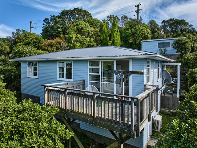 133 Ruskin Road Newlands