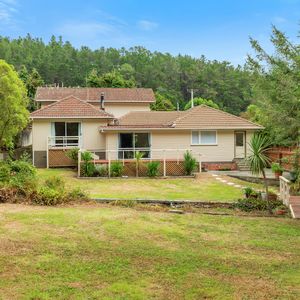 84 Cormier Pike Apt. 054 - Balgowlah heights