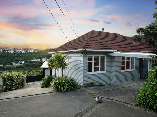161 Totara Road Miramar