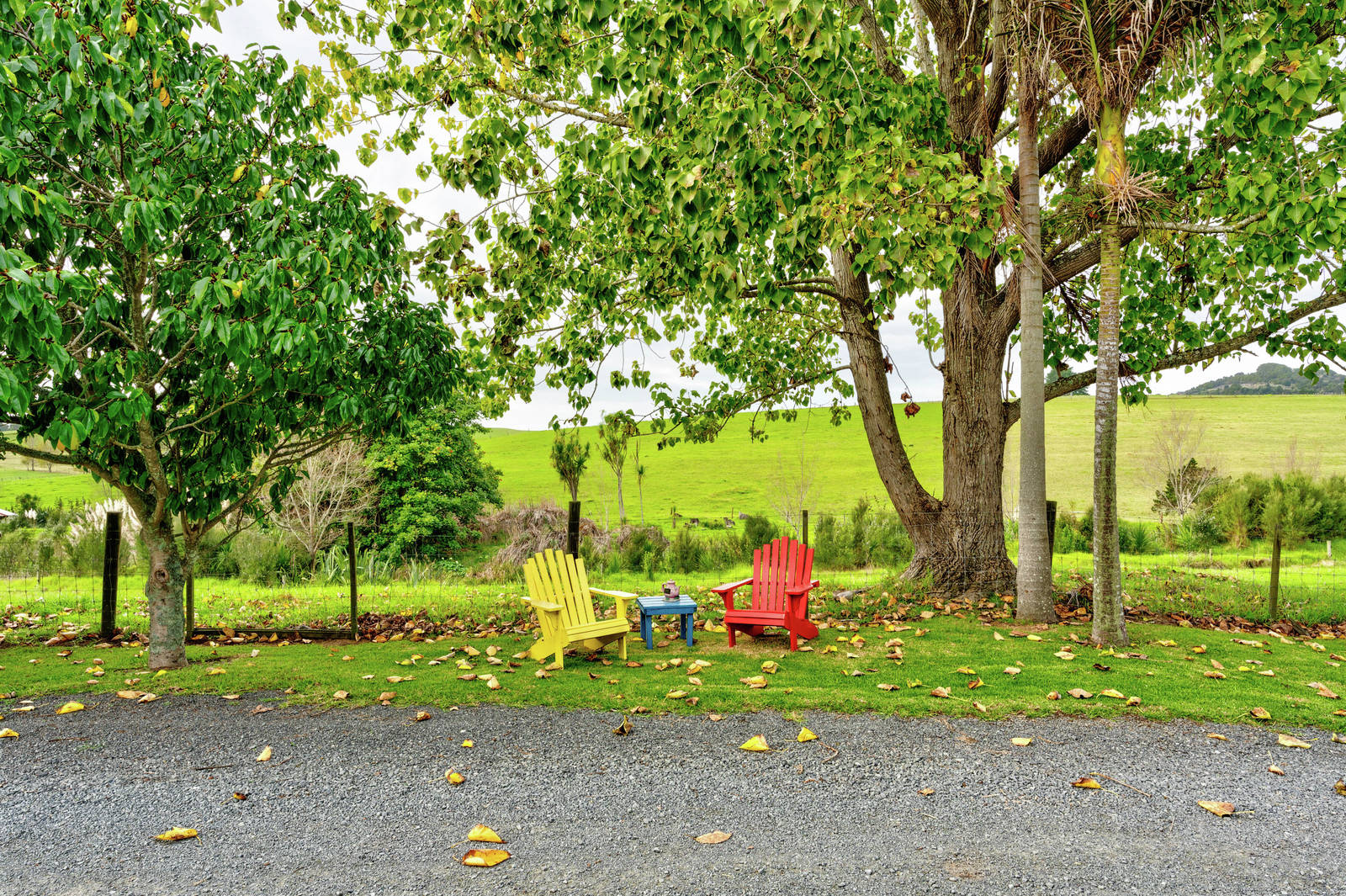 1463 Whangarei Heads Road, Parua Bay 3 Bed Lot Private Treaty