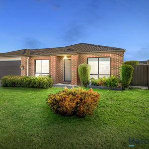 84 Cormier Pike Apt. 054 - Balgowlah heights