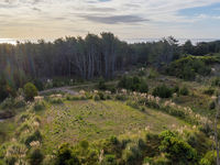 photo property thumbnail