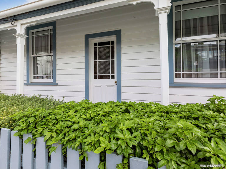 34 Aro Street Aro Valley