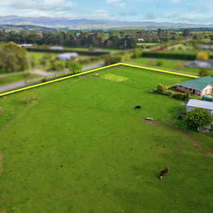 84 Cormier Pike Apt. 054 - Balgowlah heights