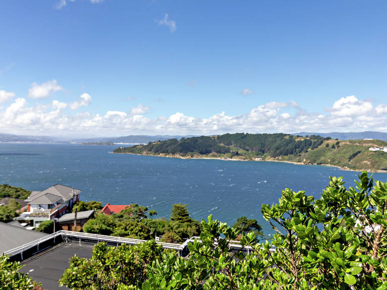 149 Te Anau Road Hataitai
