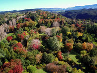 photo property thumbnail