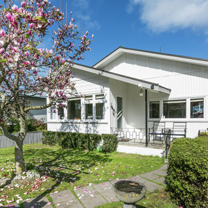 84 Cormier Pike Apt. 054 - Balgowlah heights