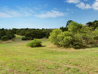 photo property thumbnail