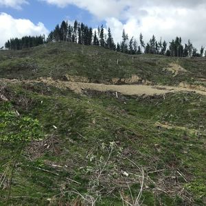 84 Cormier Pike Apt. 054 - Balgowlah heights