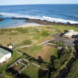 84 Cormier Pike Apt. 054 - Balgowlah heights