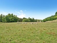 photo property thumbnail