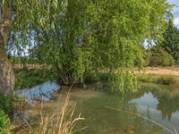 photo property thumbnail