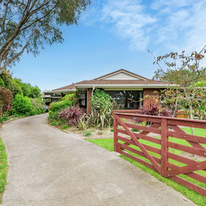 84 Cormier Pike Apt. 054 - Balgowlah heights