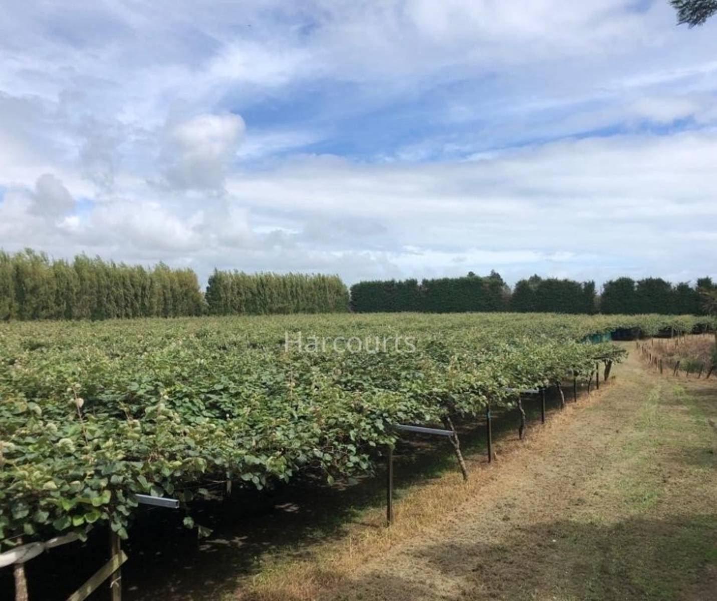 448 Otara East Road, Opotiki