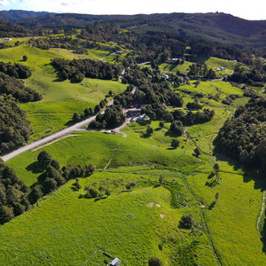 84 Cormier Pike Apt. 054 - Balgowlah heights