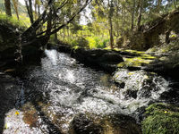 photo property thumbnail