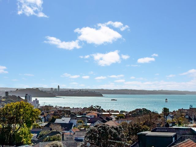 1 Tarawera Terrace St Heliers