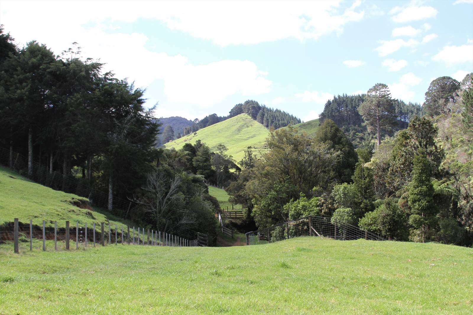 131 Thorn Road, Waihi 5 Bed Rural Private Sale