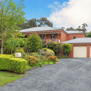 84 Cormier Pike Apt. 054 - Balgowlah heights