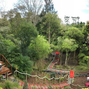 84 Cormier Pike Apt. 054 - Balgowlah heights