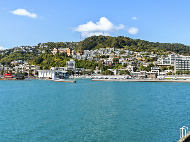 1A/2 Clyde Quay Wharf Te Aro