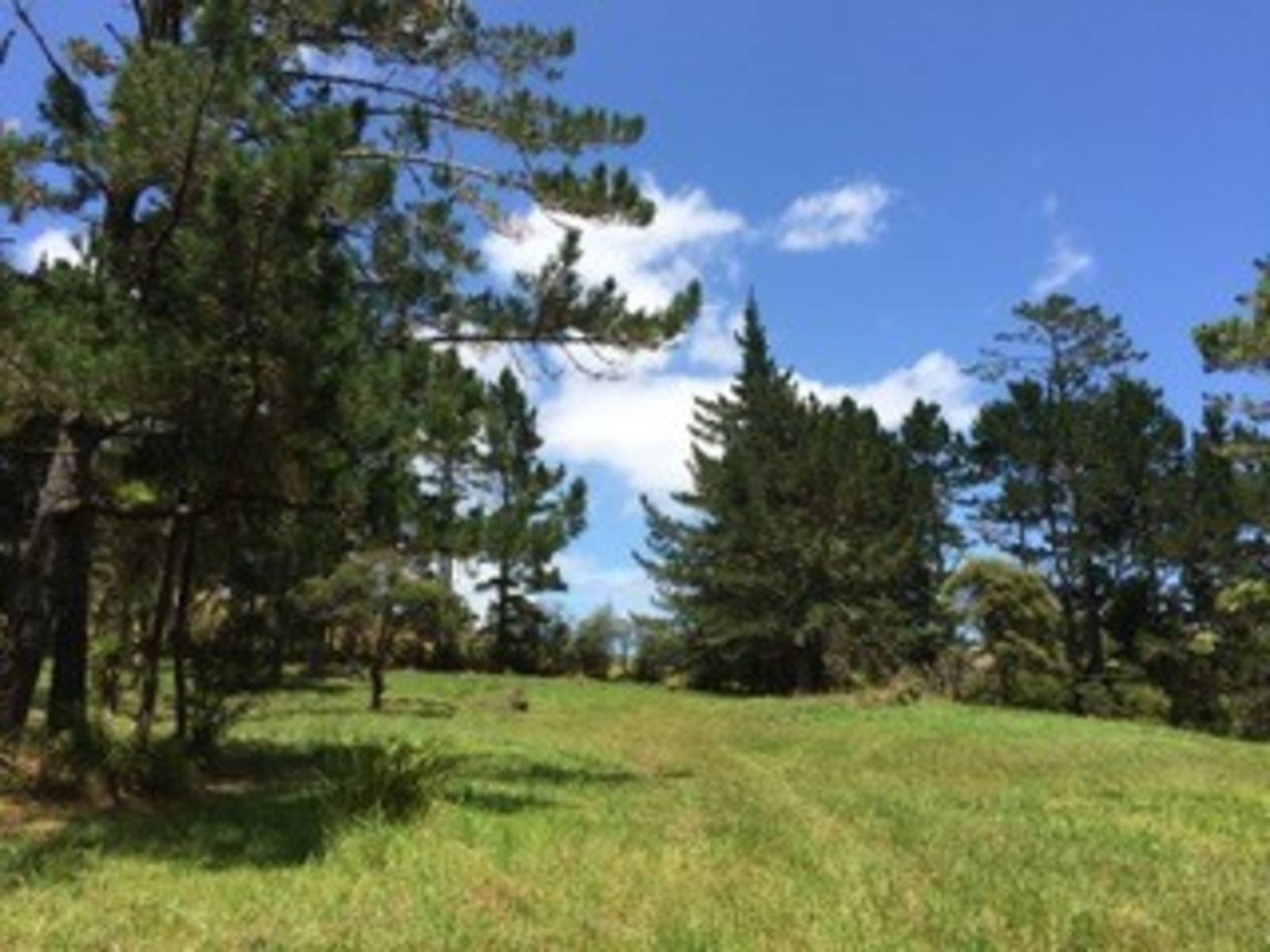 Lot 5 115 Foley Quarry Road Albany