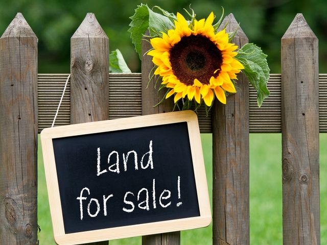 12 Yerilla Road GOLDEN BAY