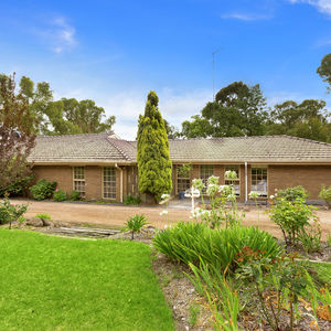 84 Cormier Pike Apt. 054 - Balgowlah heights