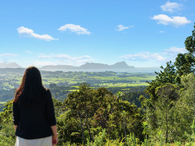 Lot 3 McAdam Road Waipu