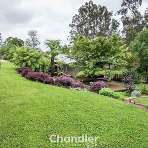 84 Cormier Pike Apt. 054 - Balgowlah heights