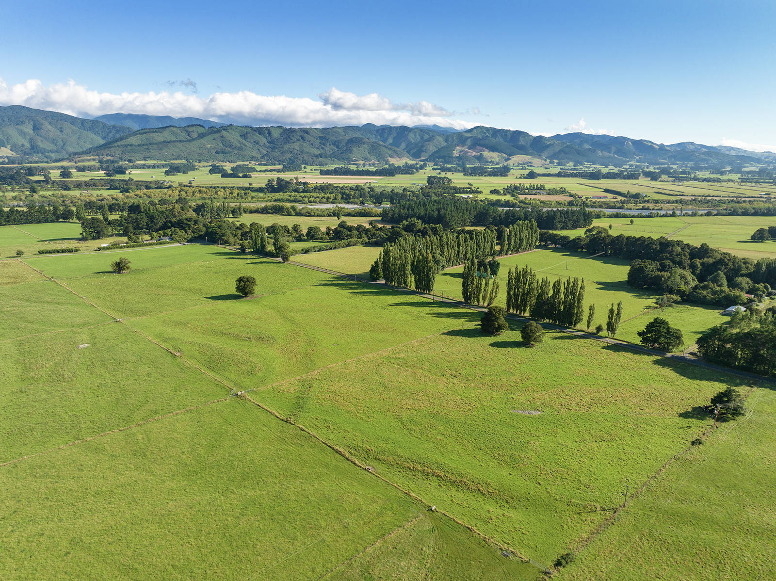 235 Wood Street (Lots 8 & 9), Greytown, Wairarapa
