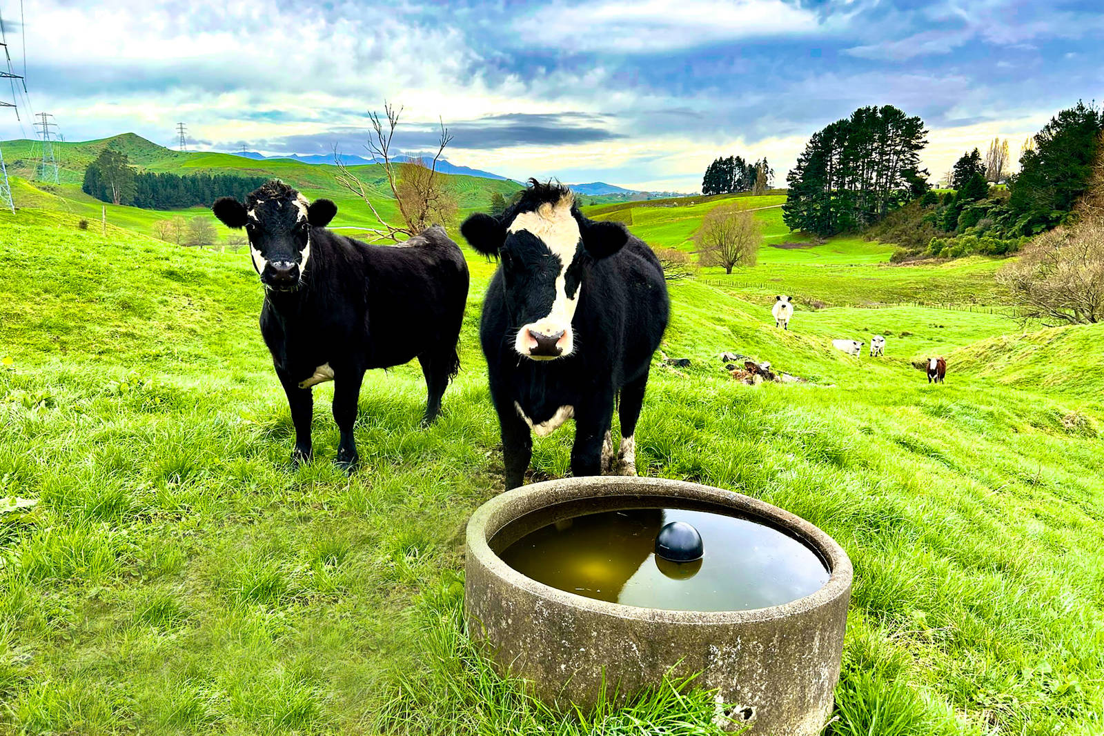 4 Owaikura Road, Otorohanga 2 Bed Rural Private Treaty