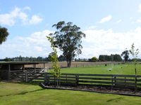 photo property thumbnail
