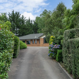 84 Cormier Pike Apt. 054 - Balgowlah heights