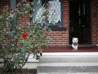 photo property thumbnail
