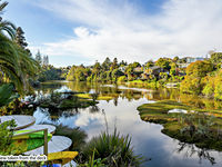 photo property thumbnail