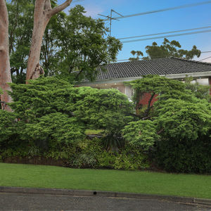 84 Cormier Pike Apt. 054 - Balgowlah heights