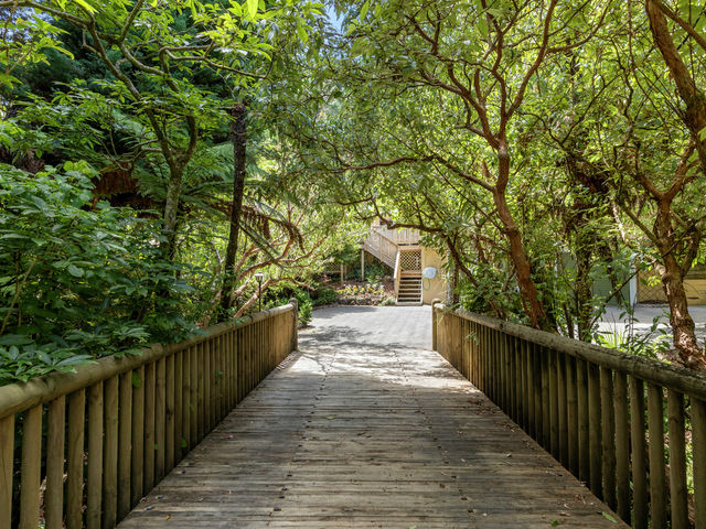 11 Rakau Grove Stokes Valley