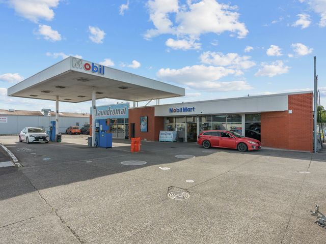 231 Chapel Street Masterton