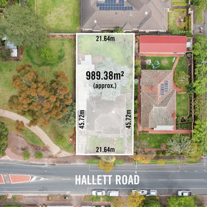 84 Cormier Pike Apt. 054 - Balgowlah heights