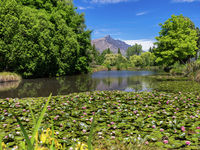 photo property thumbnail