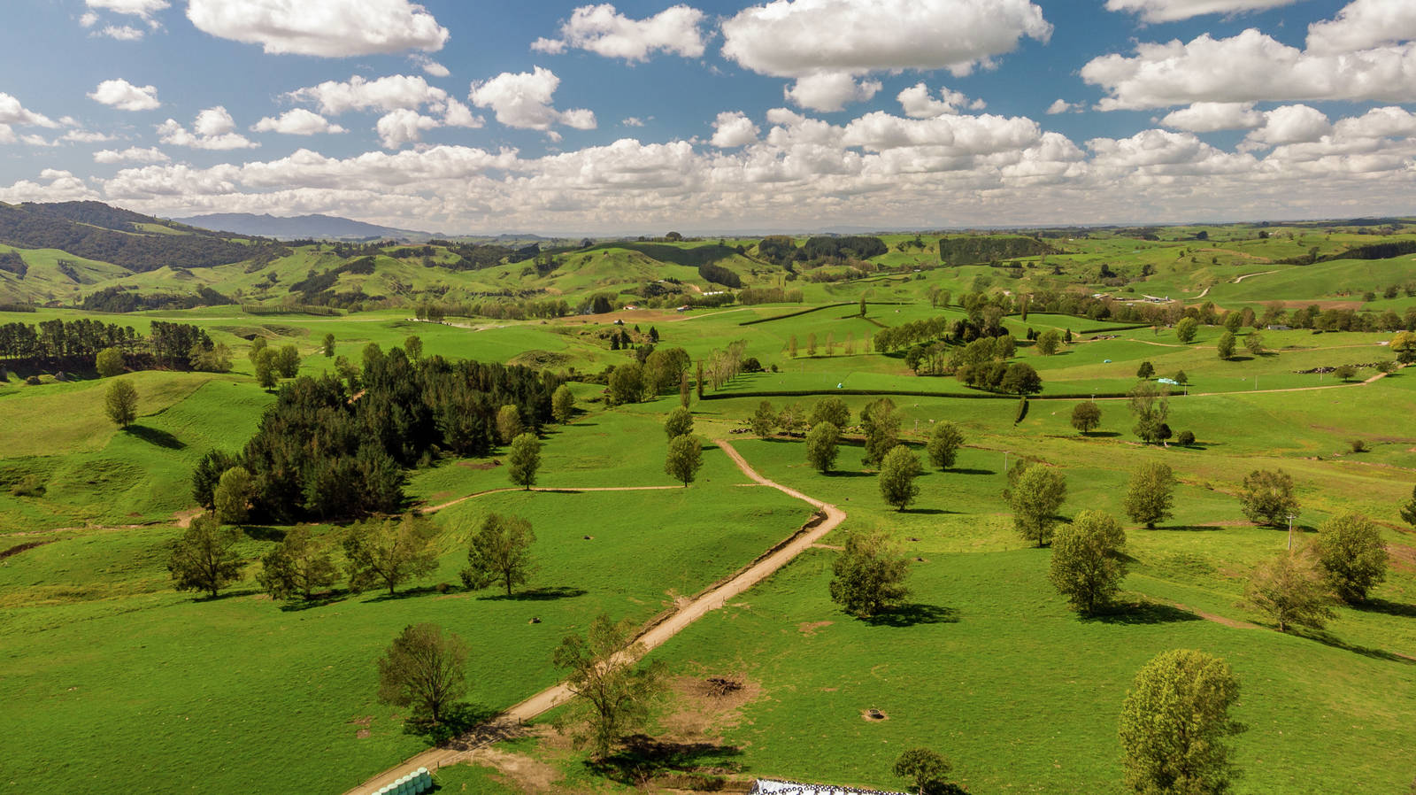 120 Pamotumotu Road, Otorohanga