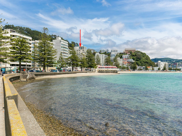 P1/236 Oriental Parade Oriental Bay