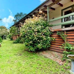 84 Cormier Pike Apt. 054 - Balgowlah heights