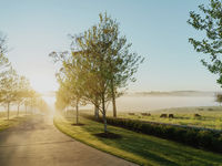 photo property thumbnail