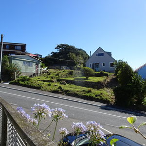 84 Cormier Pike Apt. 054 - Balgowlah heights
