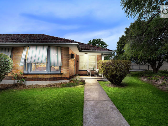 8a Keyes Street Linden Park