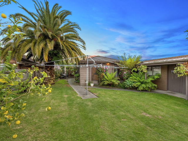 16 Ash Grove South  Langwarrin
